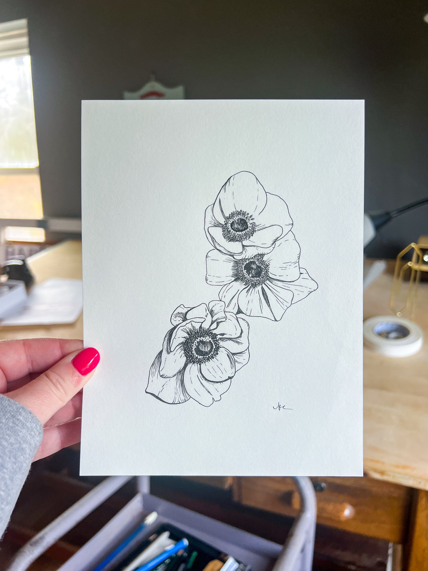 Original Ink Anemone Ink Drawing